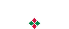 Dama Fortuna Logo